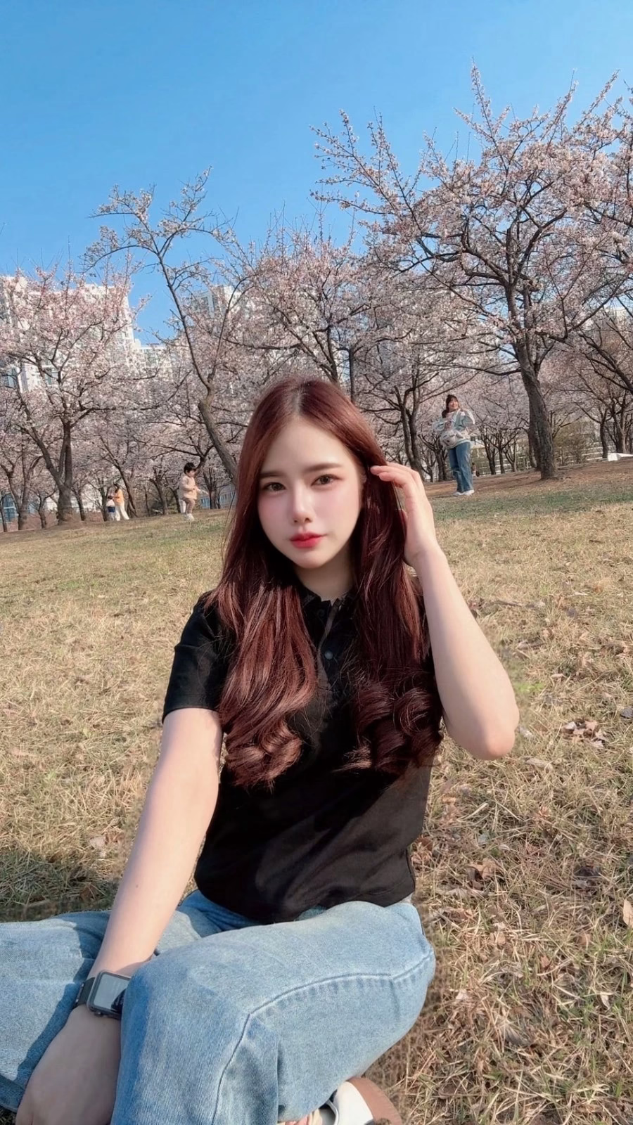 台北定點茶-凱蒂貓