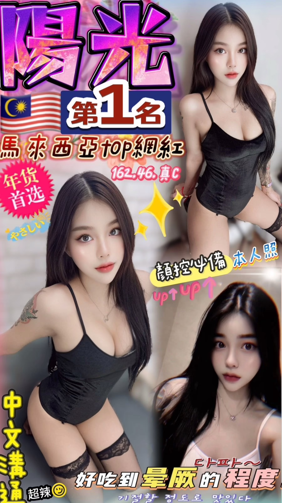 南投定點茶-陽光